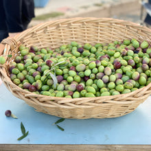 Load image into Gallery viewer, Sardegnan Organic Extra Virgin Olive Oil- Boni Mores