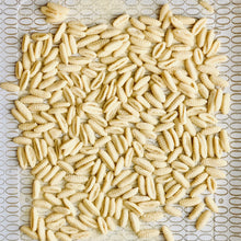 Load image into Gallery viewer, Malloreddus Pasta