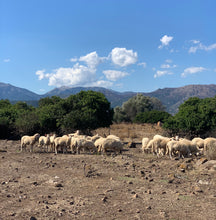 Load image into Gallery viewer, "Fiore Sardo" Aged DOP Pecorino Cheese from Sardegna